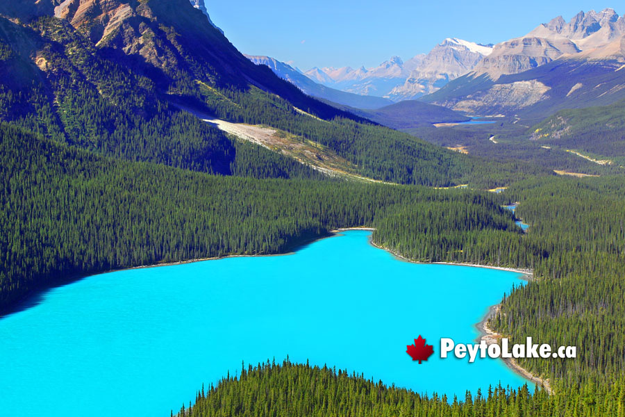 September at Peyto Lake
